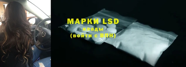 спайс Кострома