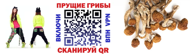 Псилоцибиновые грибы мухоморы кракен Ардон